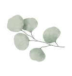 Biểu tượng hộp trà VIEGREEN